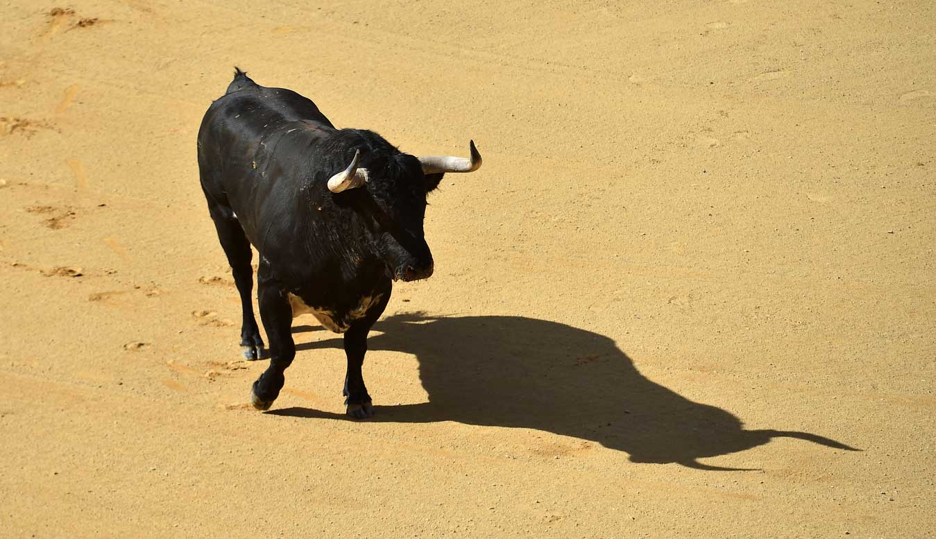 proteccion-toros